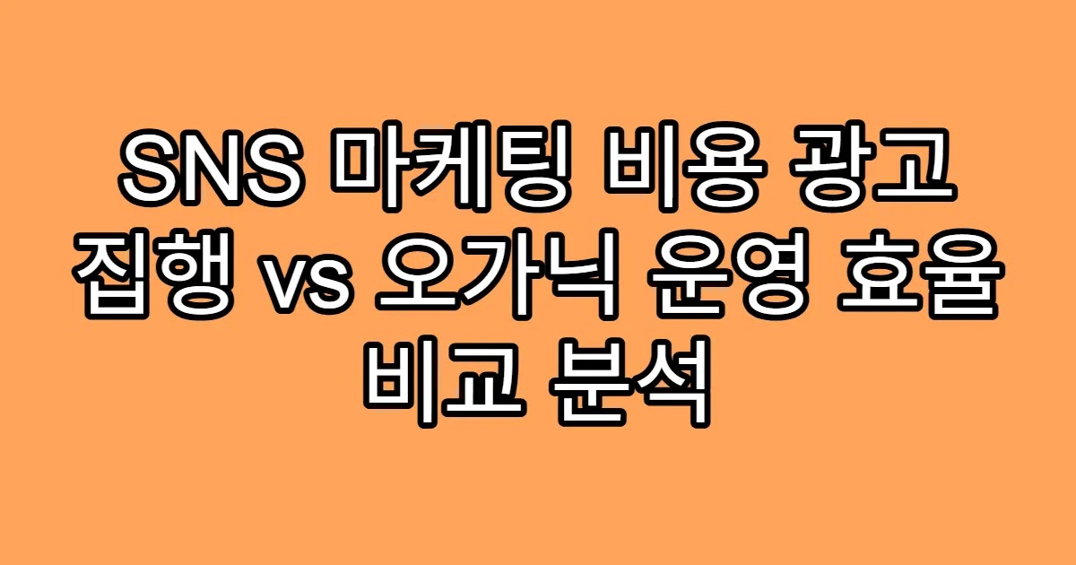 SNS 마케팅 비용 광고 집행 vs 오가닉 운영 효율 비교 분석