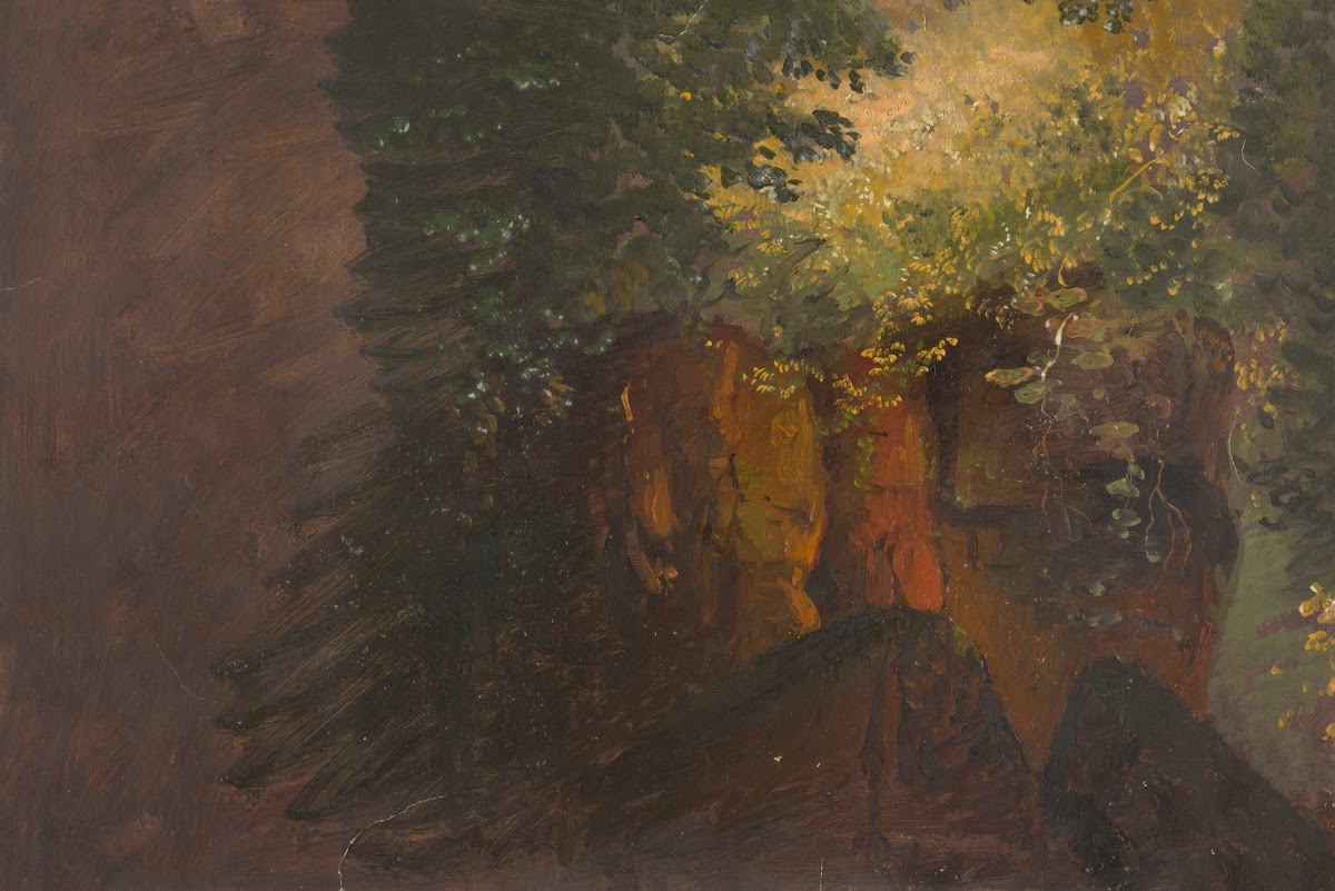Woodland scene with rocks 186070