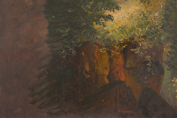 Woodland scene with rocks 186070