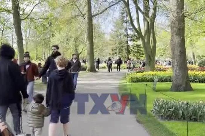 Ghé thăm Keukenhof - vườn hoa được mệnh danh đẹp nhất thế giới - Báo VietnamPlus