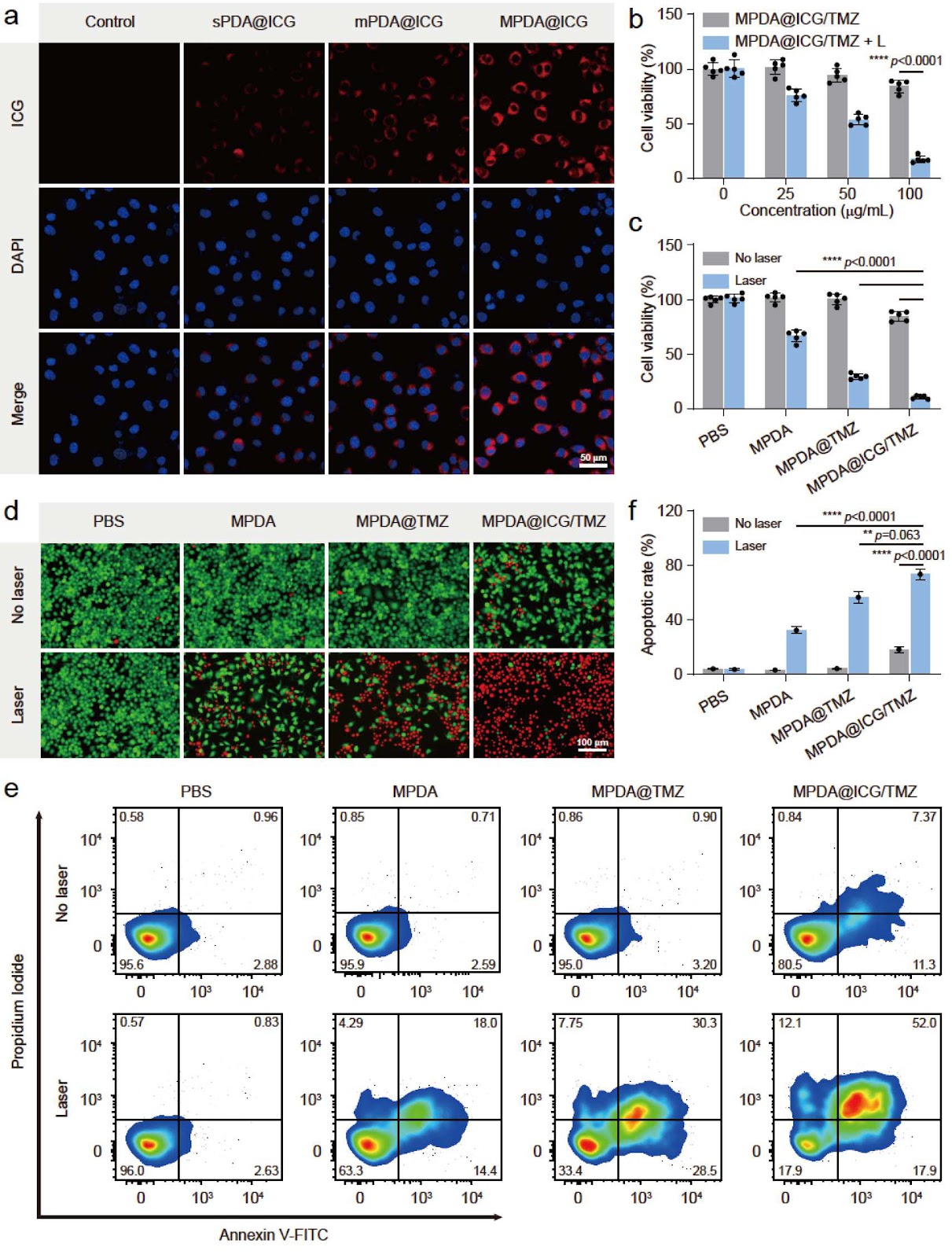 Mesoporous bowl-shaped polydopamine co-loaded temozolomide and indocyanine green for synergistically inhibiting glioblastoma