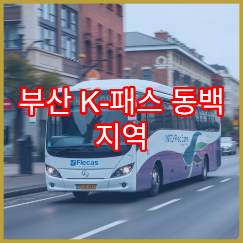 부산 K-패스 동백 지역 혜택, 모두의 카드 사용 가능 여부