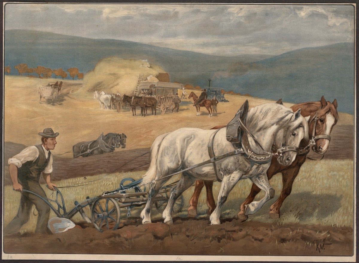 Arbejdshest 1910
