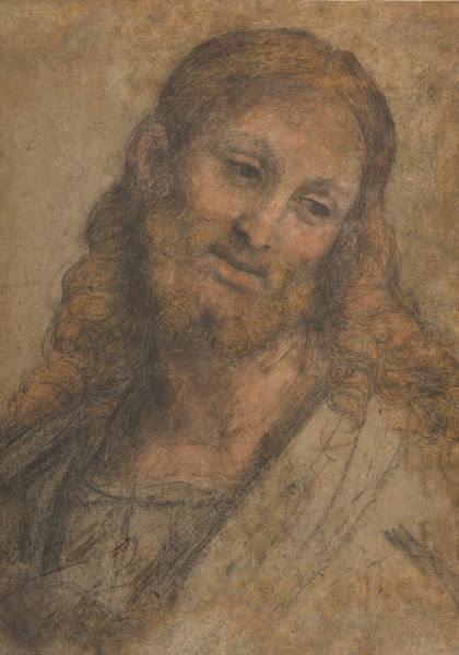 Bust of a Bearded Figure 151524