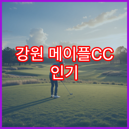 강원 메이플CC 인기 이유