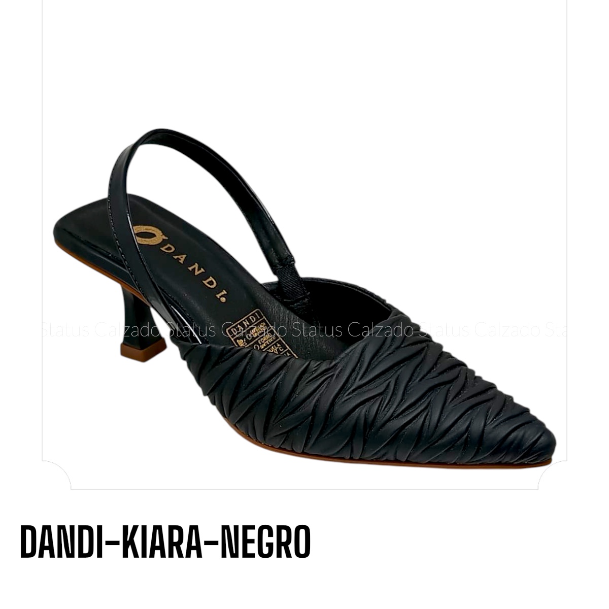 DANDI-KIARA-NEGRO