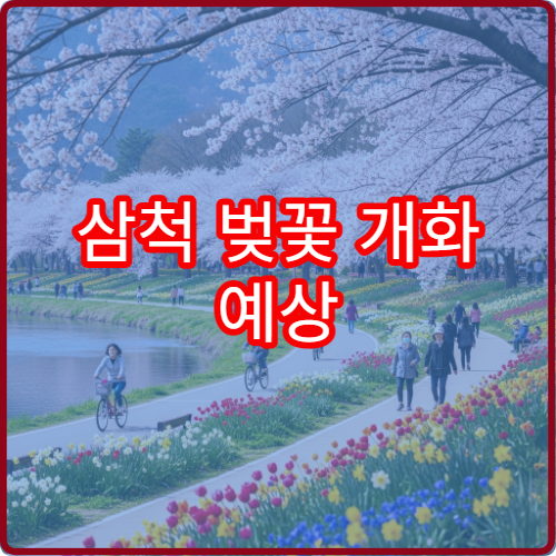 삼척 벚꽃 개화 예상 삼척 벚꽃 절정 시기