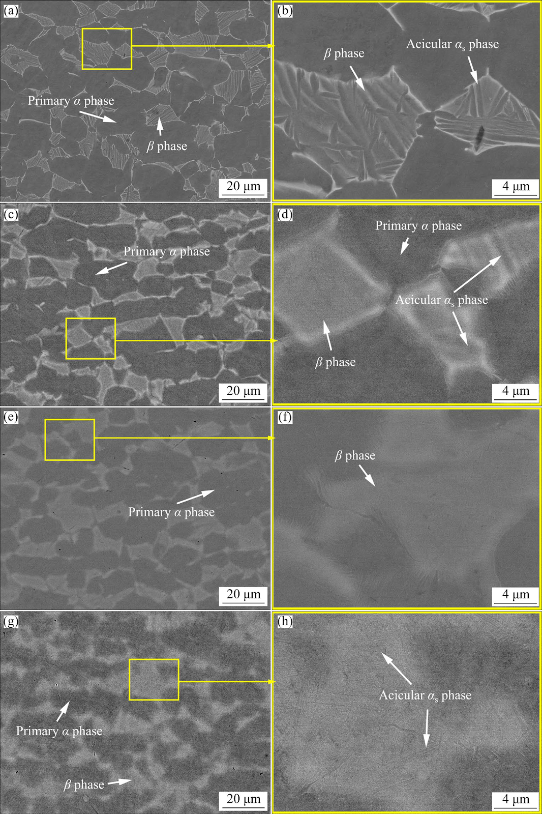 Effects of electroshock treatment on microstructure evolution and mechanical properties of Ti−8Al−1Mo−1V alloy