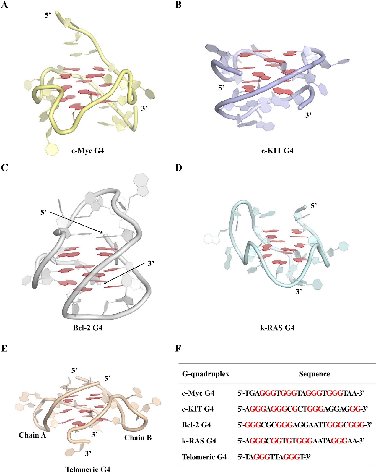 Directly targeting G-quadruplexes contributes to the anti-multiple myeloma efficacy of Epimedokoreanin B