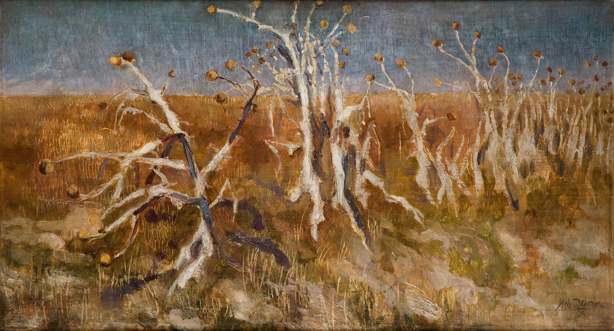 Musk Thistles 1904