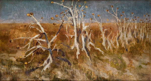 Musk Thistles 1904