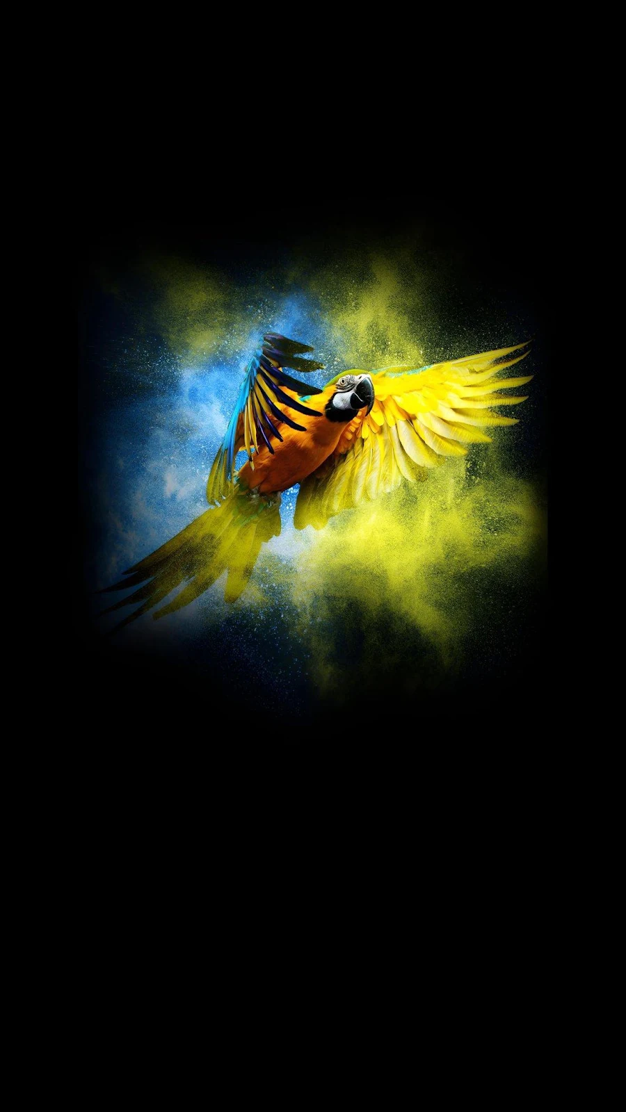 Flying Blue and Yellow Macaw - Digital Art Full HD iPhone Wallpaper (1152x2048)