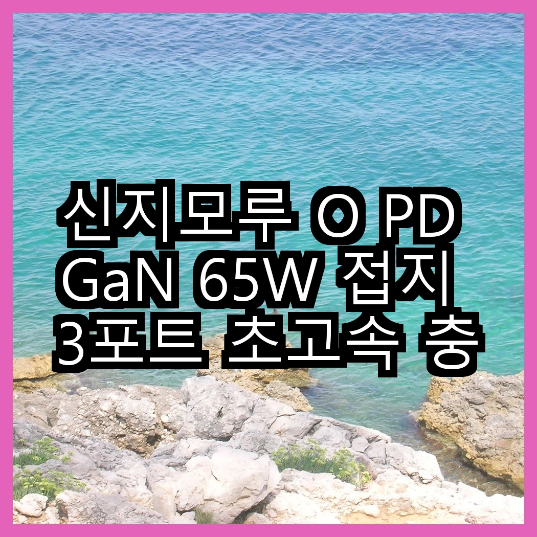 신지모루 O PD GaN 65W 접지 3포트 초고속 충전기와 신지모루 오피디 25W GaN 듀얼포트 PPS 초고속 PD vs 충전기, 가격대 비교 썸네일