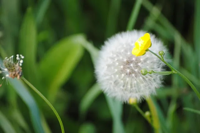 격세지감 표현의 유래와 급격한 기술 변화 맥락에서 쓰이는 의미와 본질
