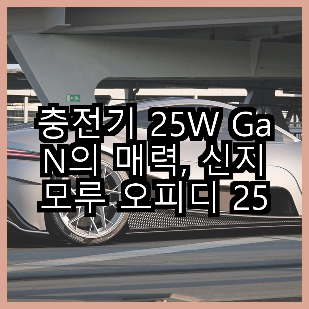 충전기 25W GaN의 매력, 신지모루 오피디 25W 듀얼포트 vs 삼성전자 25W C타입, 어떤 선택이 더 빠를까? 썸네일