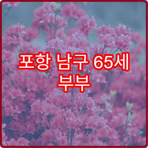 포항 남구 65세 부부 동시 기본연금 2026 신청 팁