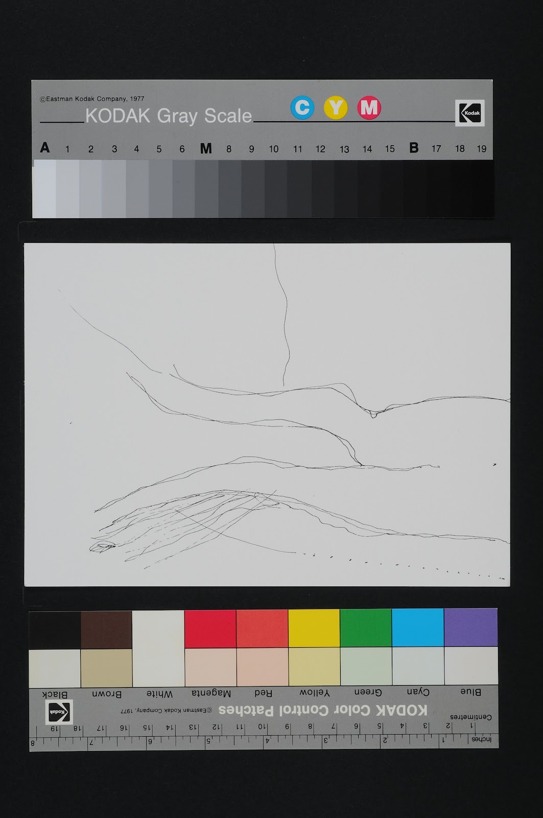 Drawn Poems
