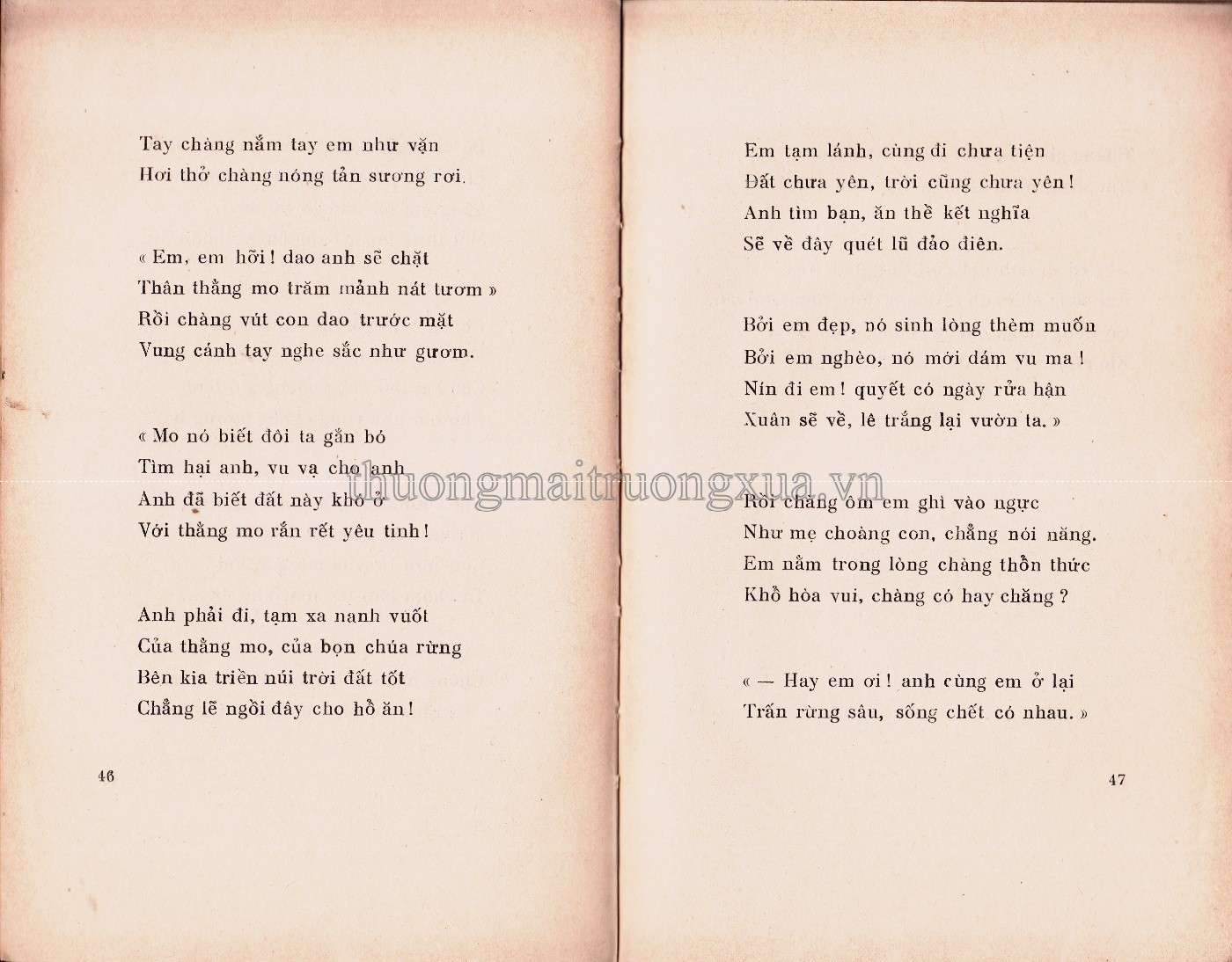 Cô gái Mèo (1972) - Trang 23