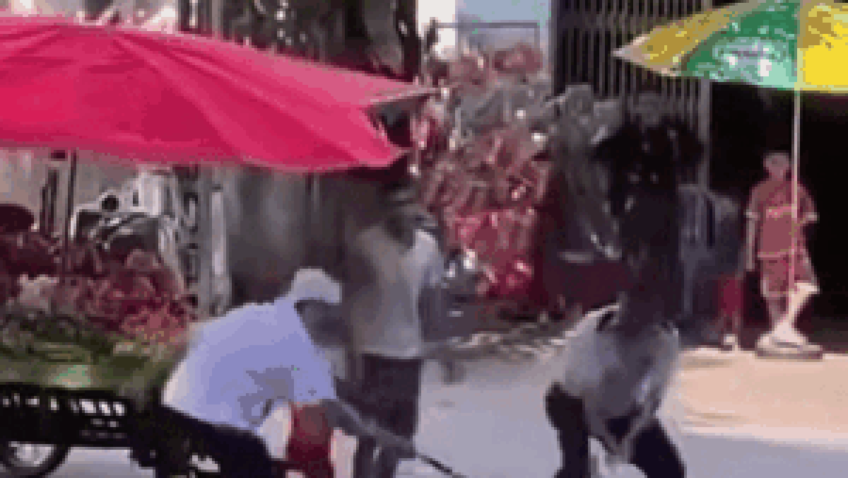 Đoạn clip 'tay không bắt rắn' của 2 người đàn ông khiến cõi mạng rôm rả bàn luận - Tạp chí SaoStar
