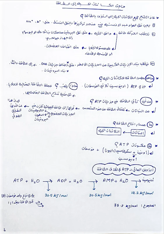 صورة الغلاف