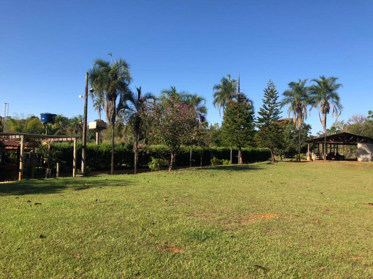 Sítio em Bela Vista de Goiás - GO 7