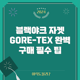 블랙야크고어텍스자켓, 아웃도어 전문가, 겨울 등산복, 기능성 자켓, 블랙야크 리뷰