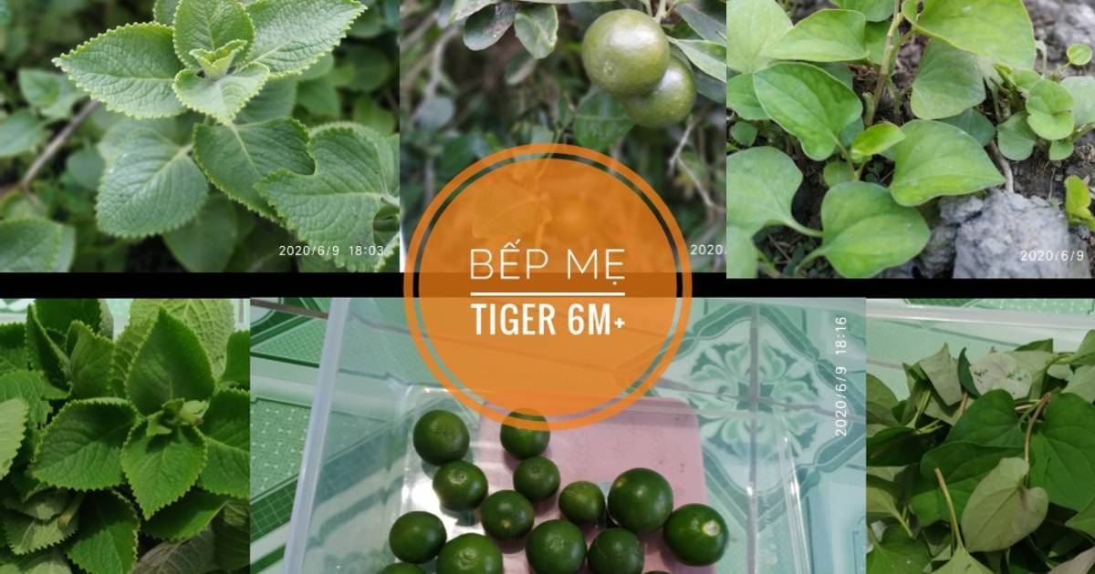 Dược liệu cho bé: Siro trị ho cho bé