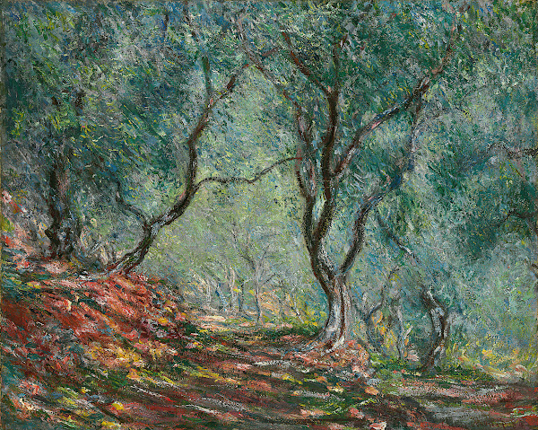 Bois doliviers au jardin Moreno 1884