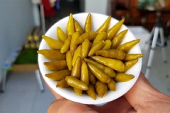 Ớt xanh ngâm nước mắm khoảng vài ngày là dùng được rồi nhé. Bảo quản ớt ngâm nước mắm trong ngăn mát tủ lạnh dùng dần trong thời gian dài lên đến vài tháng đấy. Hết thì làm ớt ngâm tiếp, vừa rẻ, vừa an toàn vệ sinh nhé.