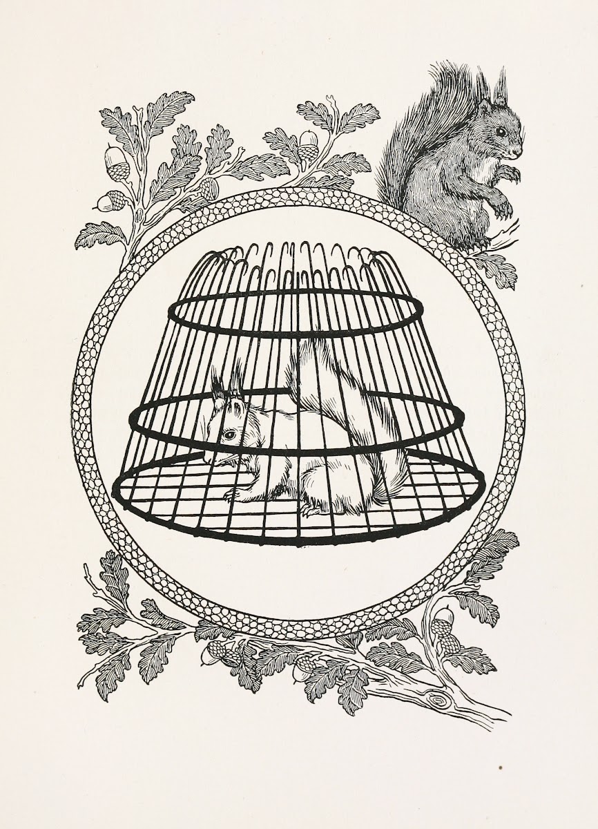 A hundred anecdotes of animals pl 090 1901