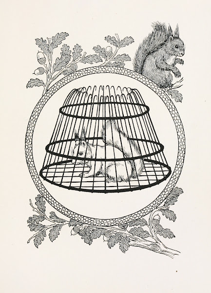 A hundred anecdotes of animals pl 090 1901