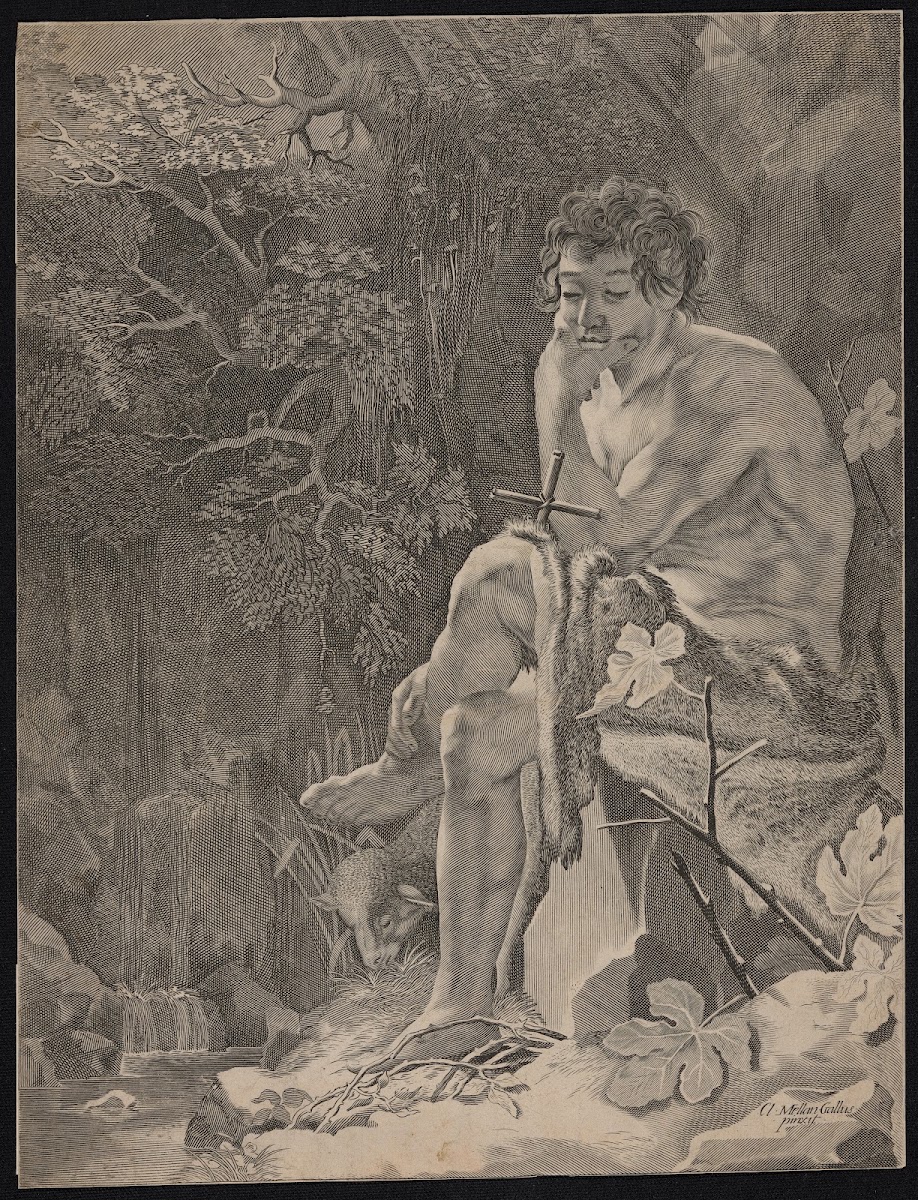 St John the Baptist in the desert