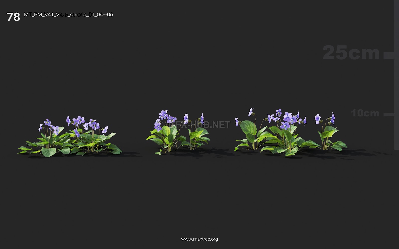 Maxtree - Plant Models Vol.41