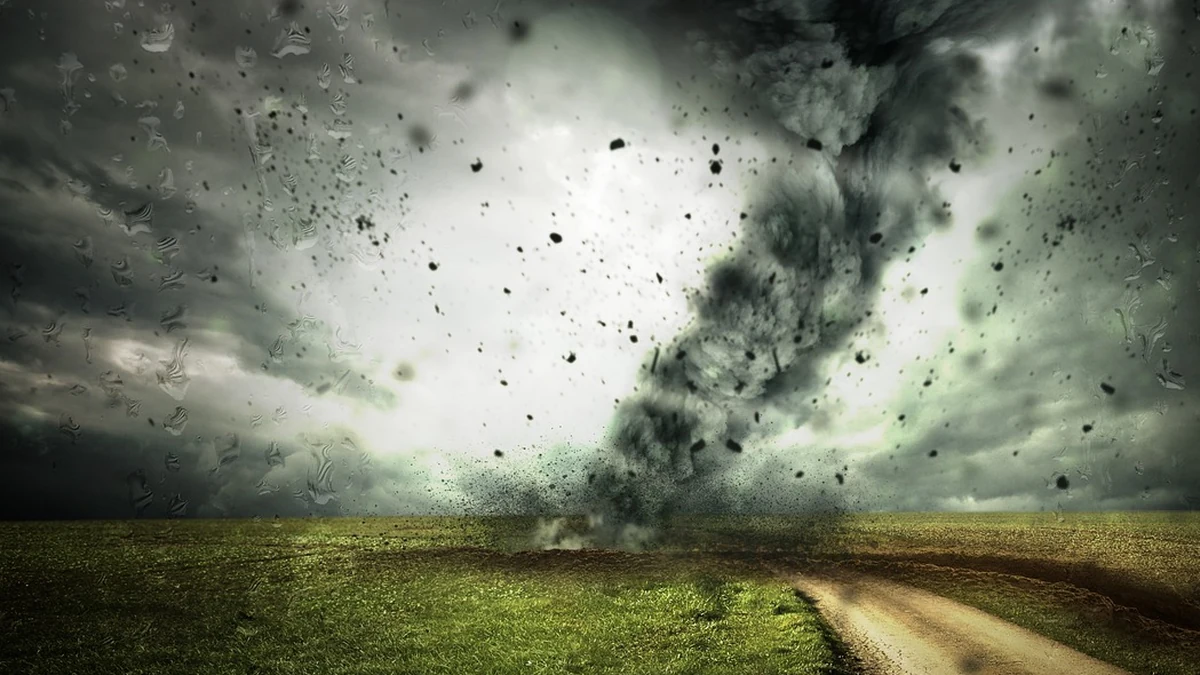 클라우드 기반 앱 보안 구조와 주요 서비스 비교