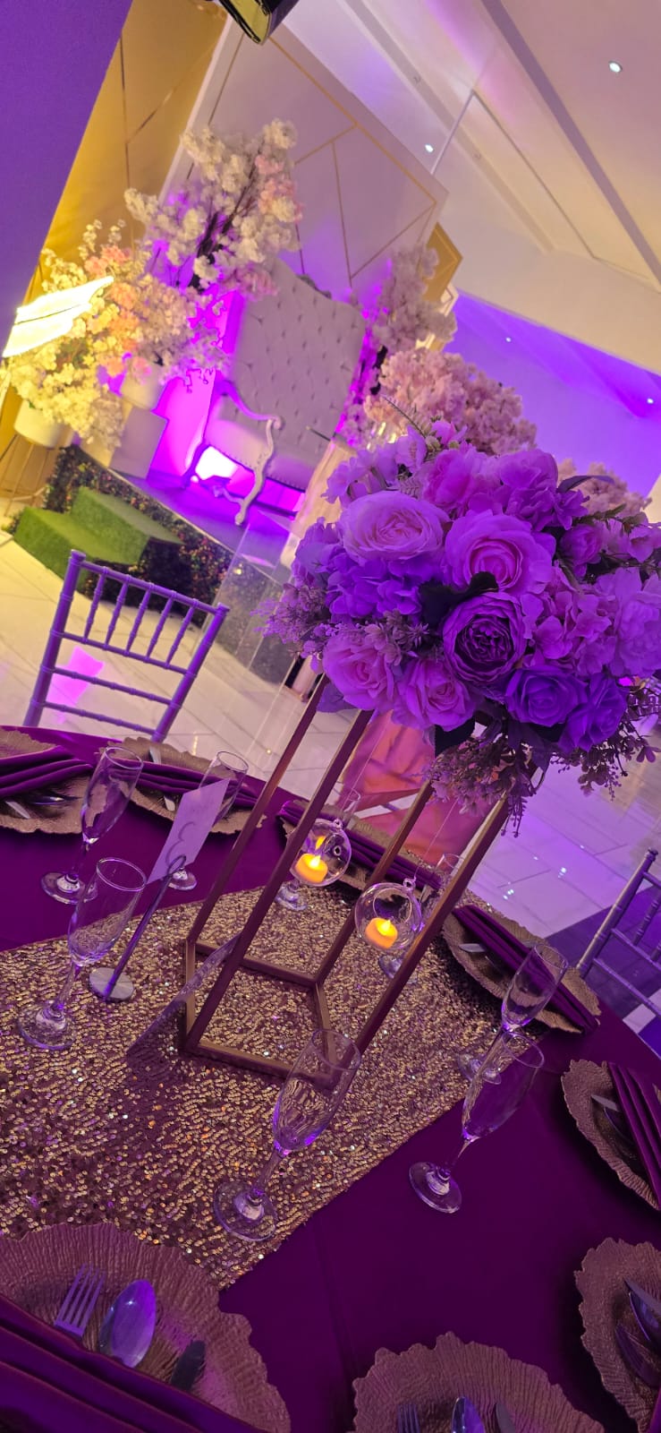 XV Años - Quinceañeras - Marbella Princess Parties Tijuana