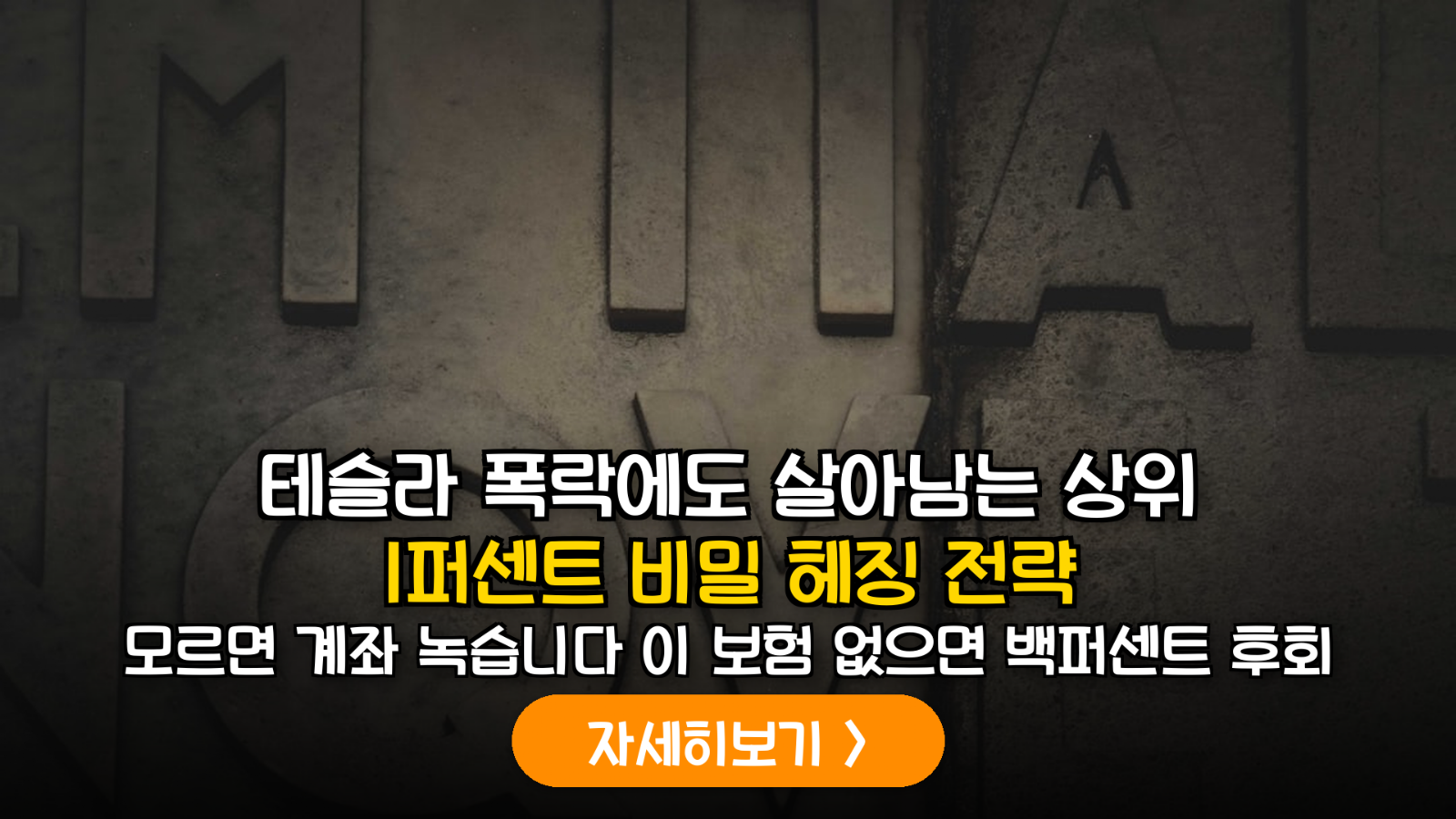 테슬라 등 고변동성 미국주식 투자자를 위한 전문적 리스크 헤징 및 포트폴리오 방어 전략 가이드