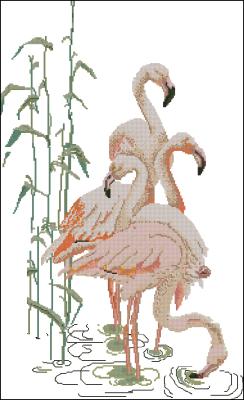 CMP 360046 Flamingo