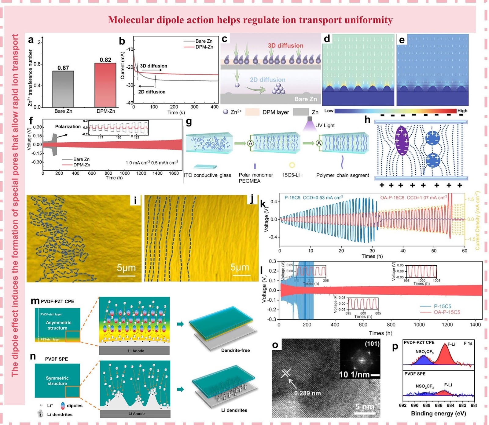 Multifunctional Dipoles Enabling Enhanced Ionic and Electronic Transport for High-Energy Batteries