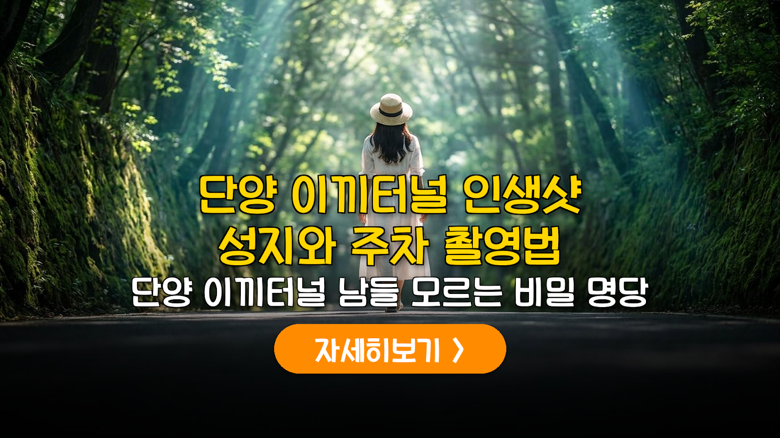 단양 이끼터널 주차 명당과 시간대별 촬영 가이드
