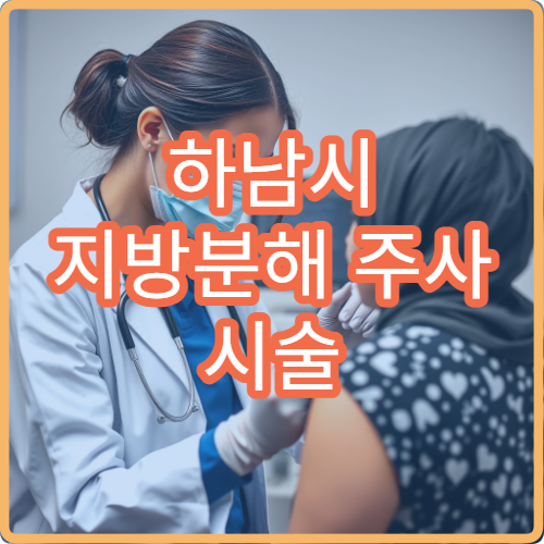 하남시 지방분해 주사 시술 및 체형 관리 병원