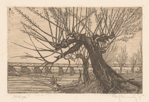 Wilgen 1917