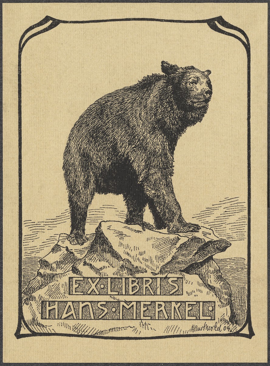 Hans Merkel 1904