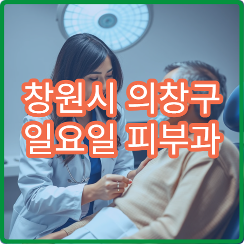 창원시 의창구 일요일 피부과 진료 병원 알레르기 치료 가능