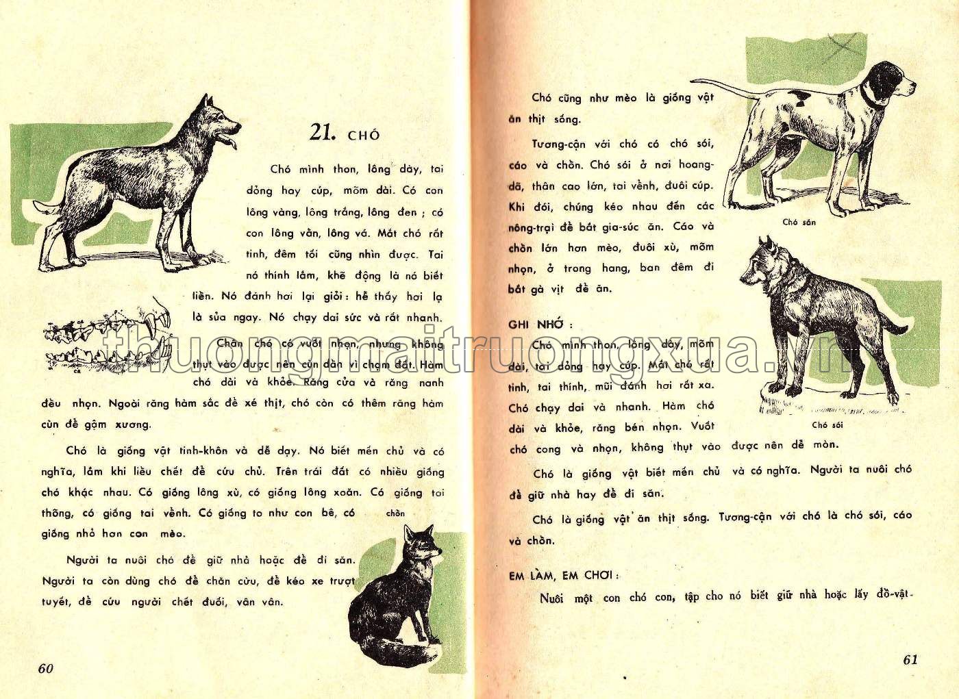 Em tìm hiểu khoa học lớp nhì (1966) - Trang 31