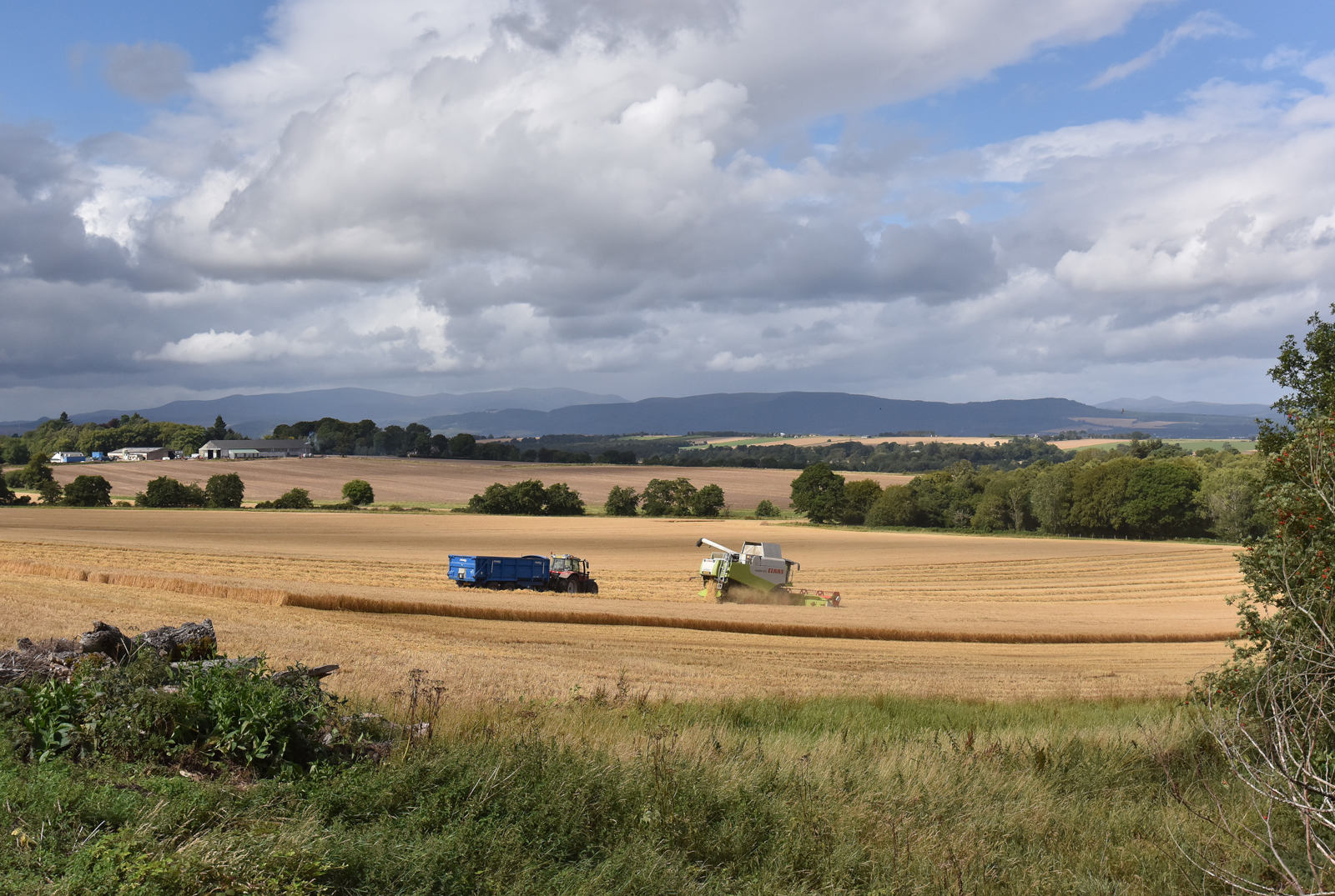 Udale_story_looking_across_to_Udale_Burn_and_Poyntzfield_from_entrance_to_former_Udale_House_2022.jpg