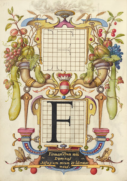 Guide for Constructing the Letter F 15611596
