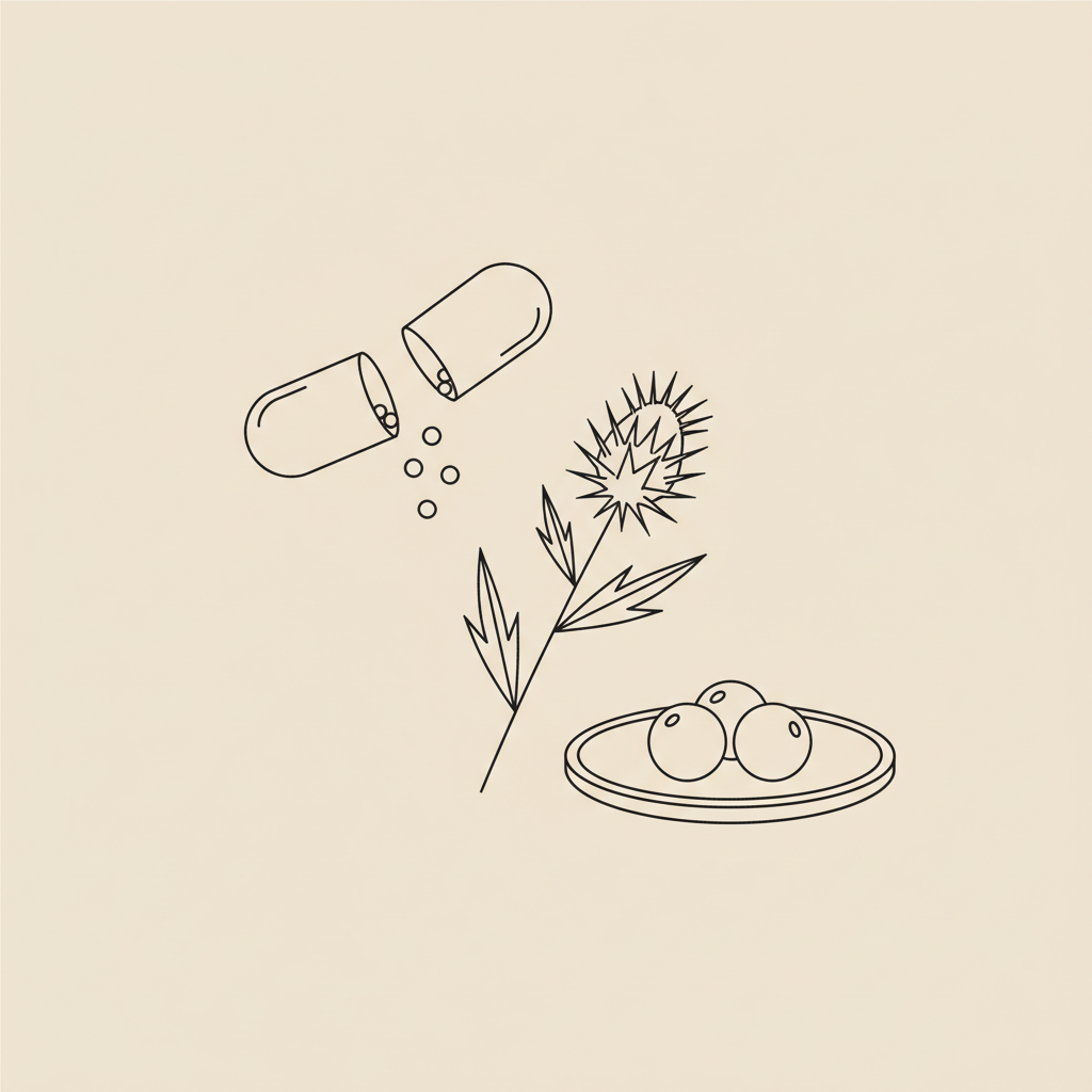Minimalist black-line vector of a capsule, milk thistle stem, and small plate with berries on beige background, representing rapid weight loss supplements
