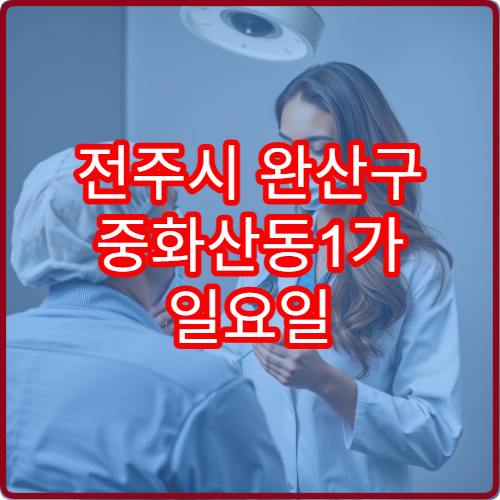전주시 완산구 중화산동1가 일요일 진료 이비인후과 비염 코막힘 진료