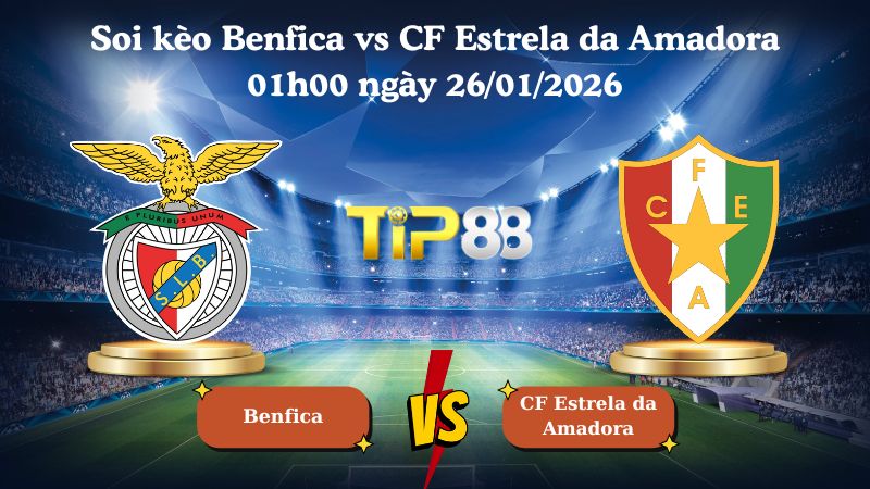 soi kèo Benfica vs CF Estrela da Amadora 01h00 ngày 26/01/2026