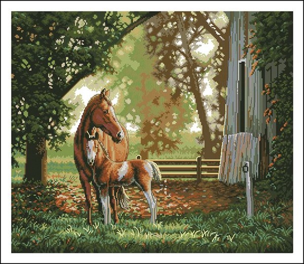 DIM35260 Mare And Foal